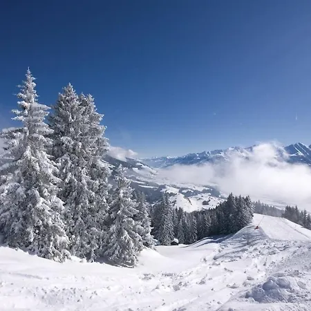 Smoky Quartz Alpenhof Holiday home